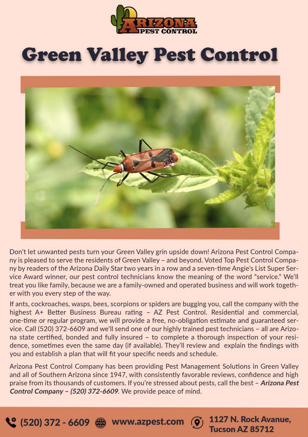 Exterminators tucson arizona Tucson termite treatment by Azpest Control
