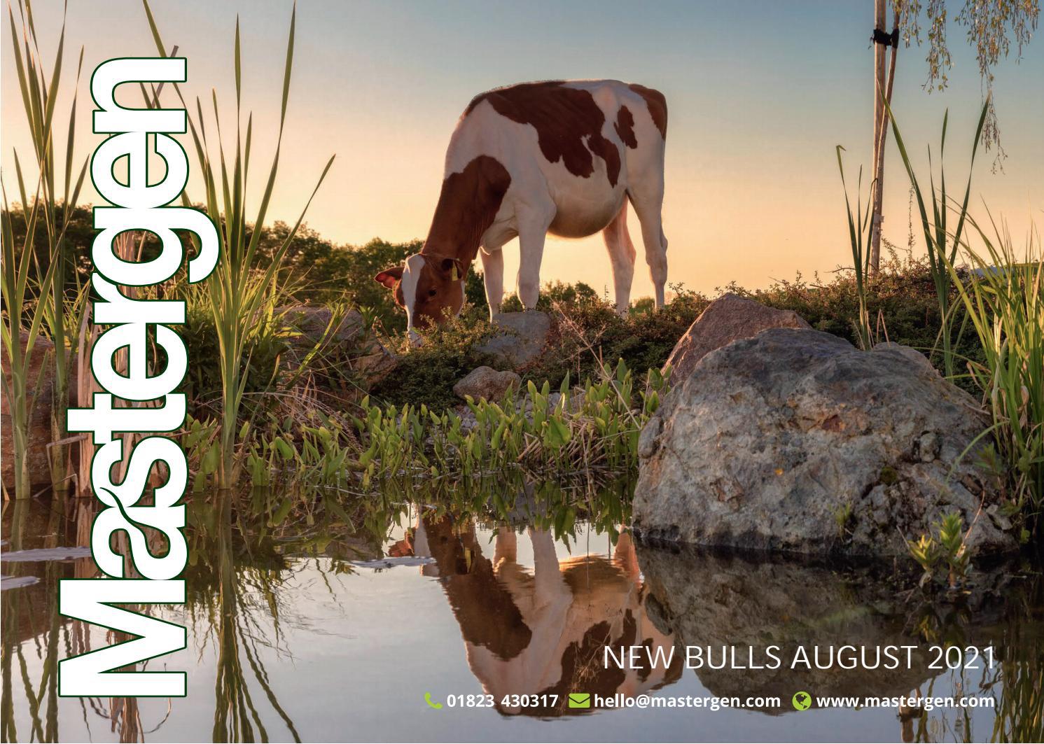 NEW HOLSTEIN BULLS AUGUST 2021 by Mastergen Ltd Issuu