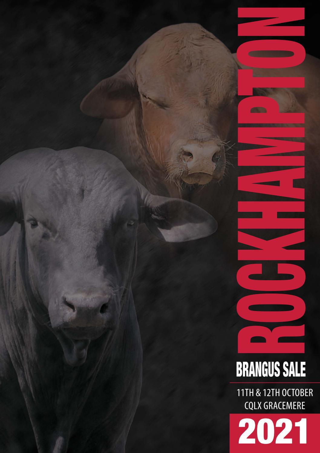 45th Rockhampton Brangus Sale by Brangus Australia Issuu