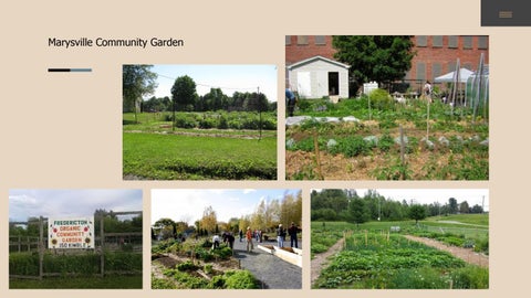 Social Enterprise Hub Proposal 第 9 页