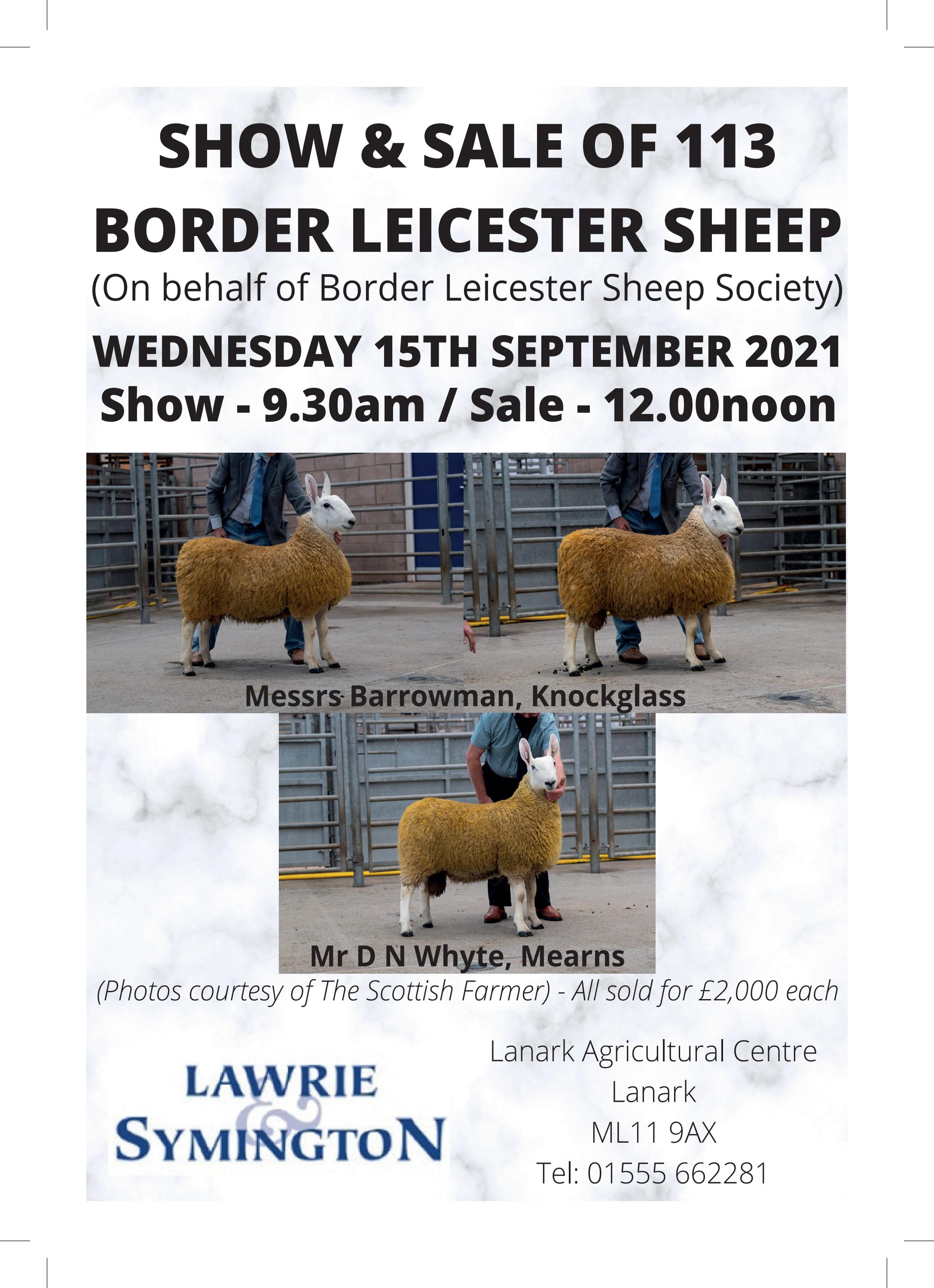 Border Leicester Catalogue 150921 by lawrieandsymington Issuu