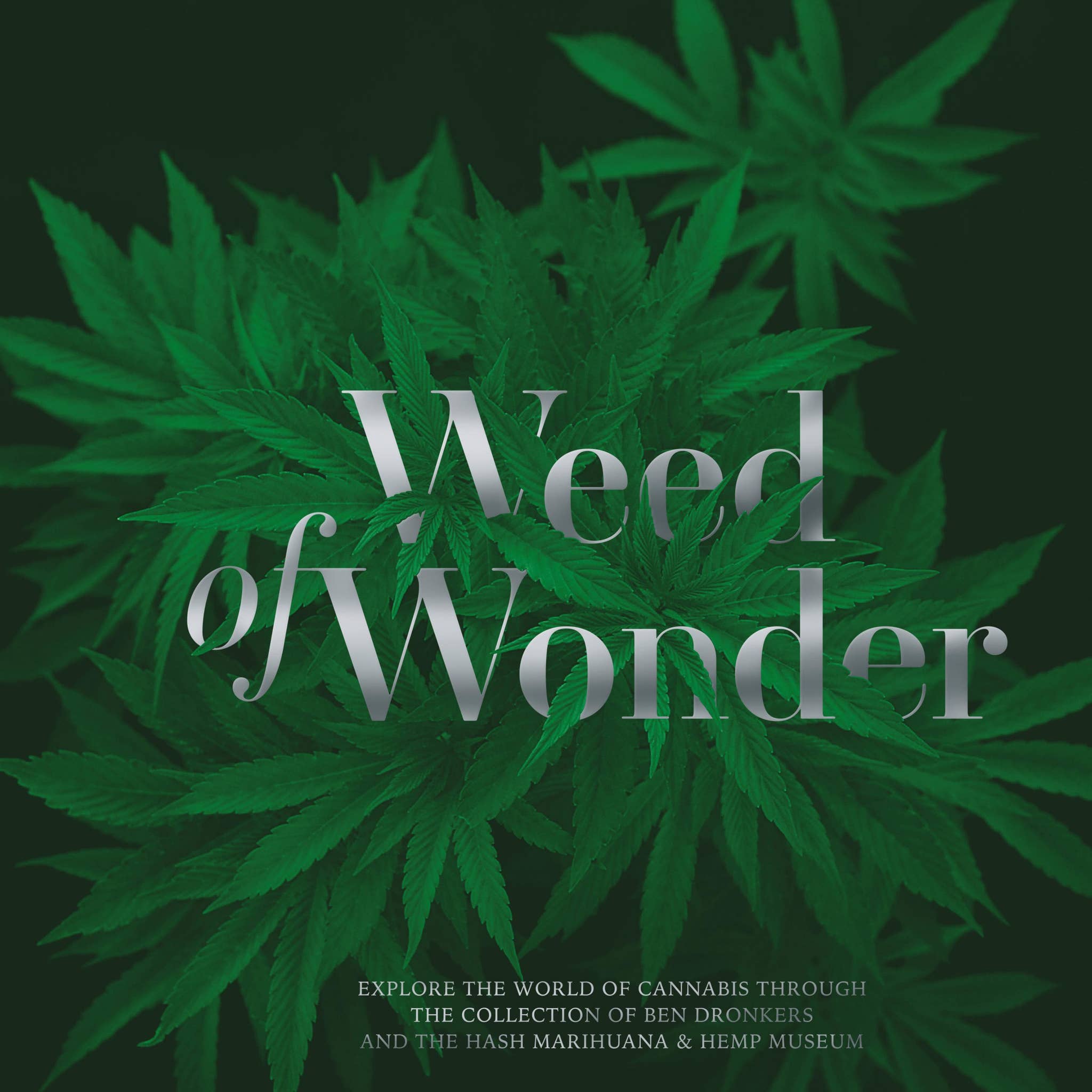 Weed of Wonder by Nachtschatten Verlag - Issuu
