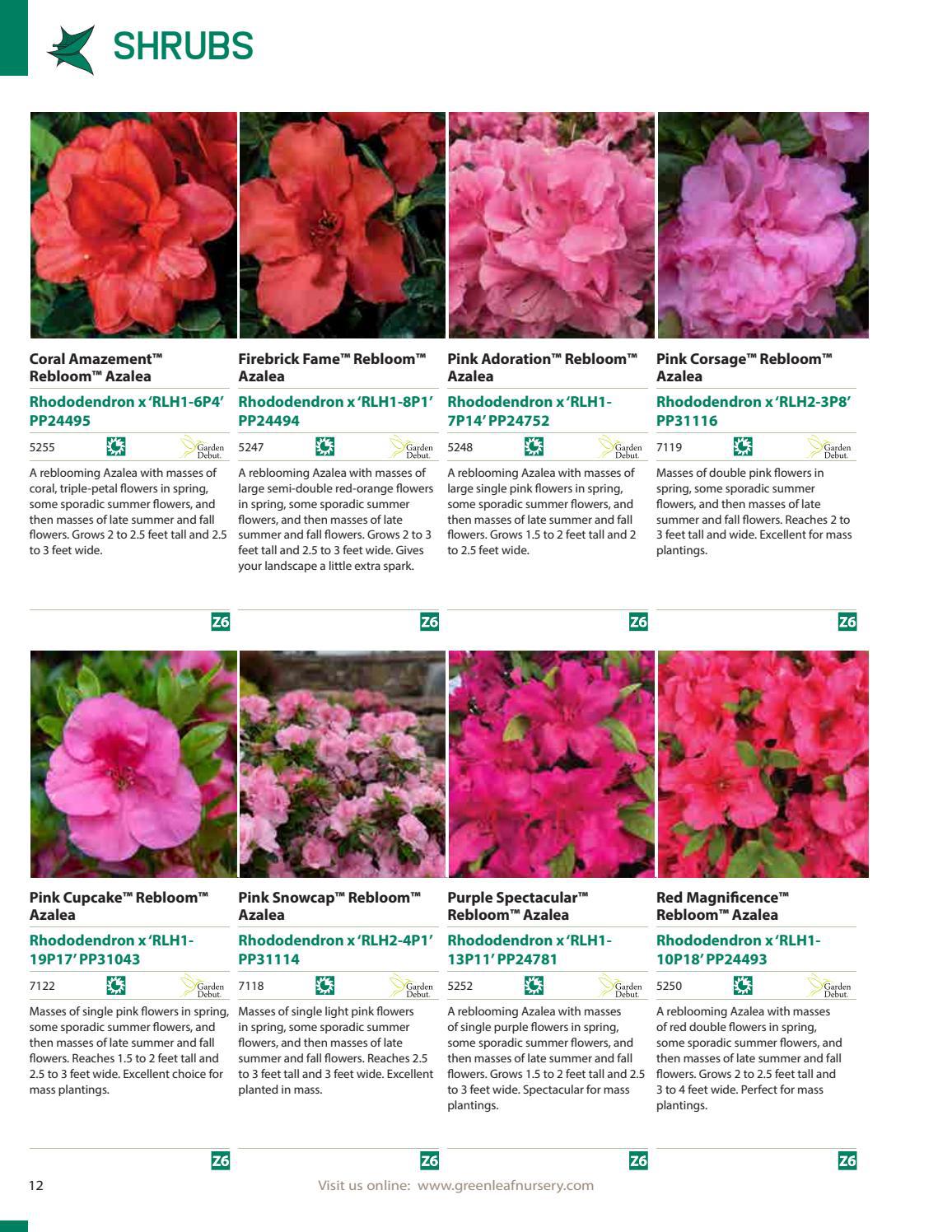 202223 Greenleaf Nursery Catalog by Garden Debut® Issuu