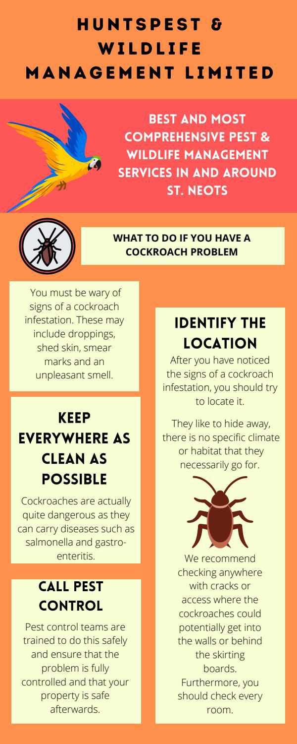 Pest Control Peterborough by huntspest Issuu