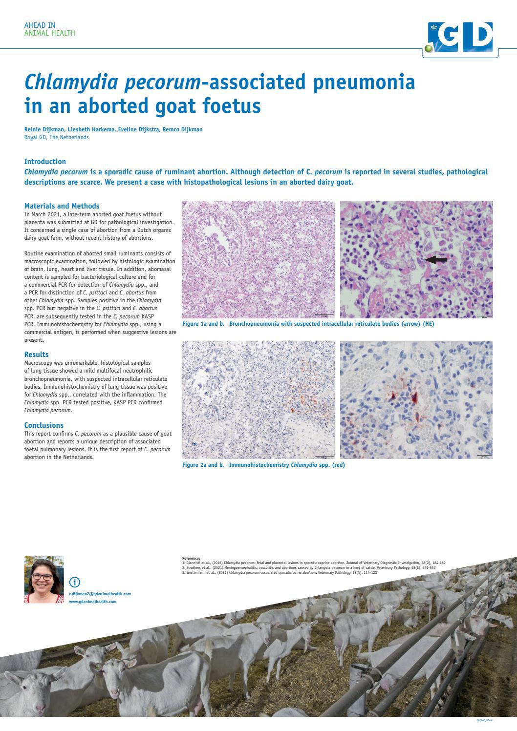 Chlamydia pecorum-associated pneumonia in an aborted goat foetus by ...