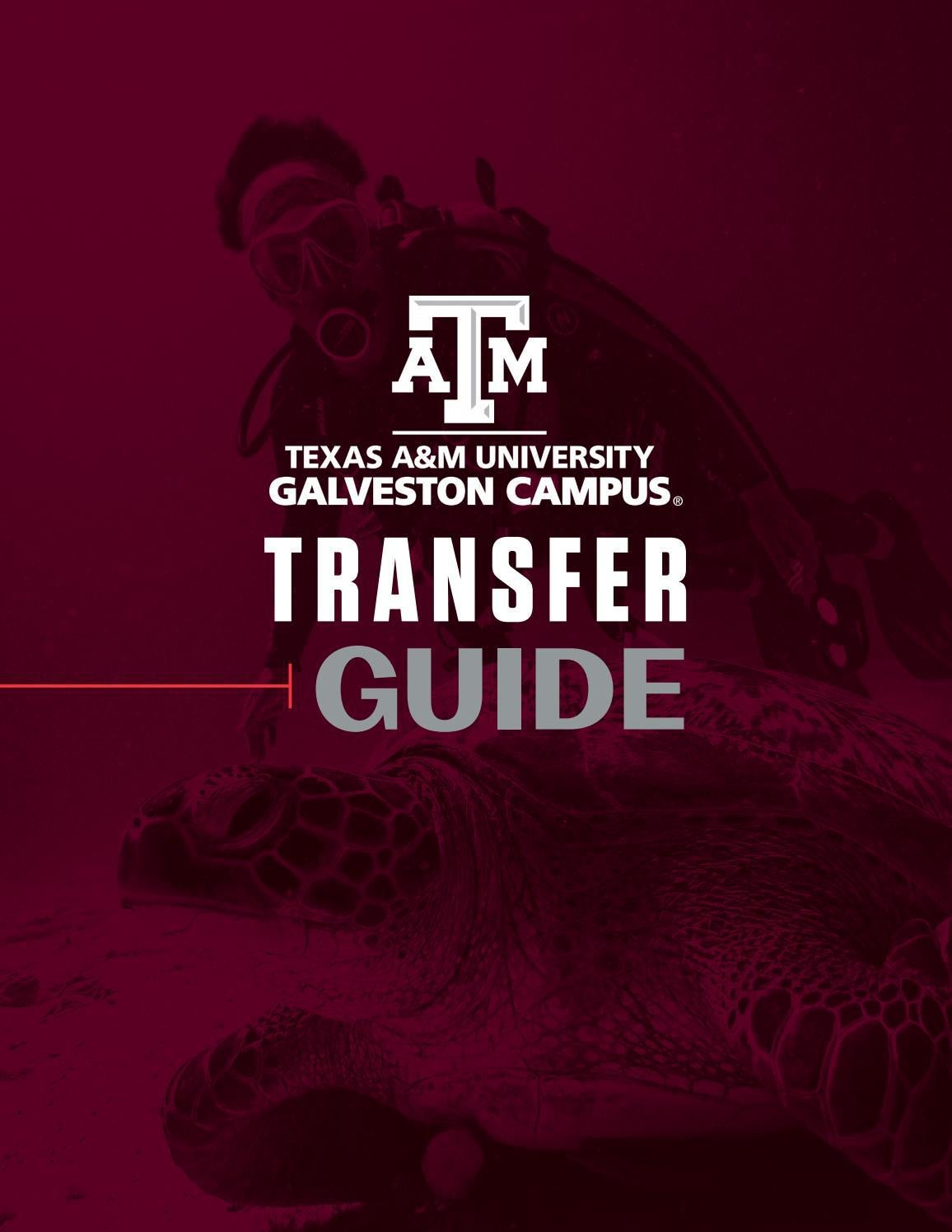 TEXAS A M ENGINEERING TRANSFER GUIDE visual data 8