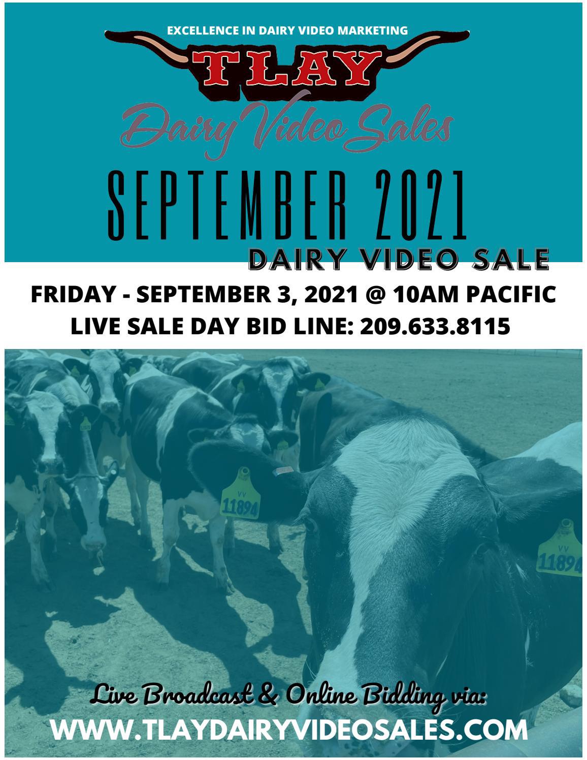 SEPTEMBER 2021 TLAY DVS CATALOG by TURLOCK LIVESTOCK AUCTION YARD Issuu