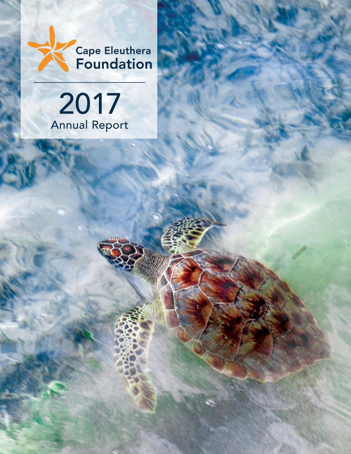 2017 Cape Eleuthera Foundation Annual Report by The Island School - Issuu