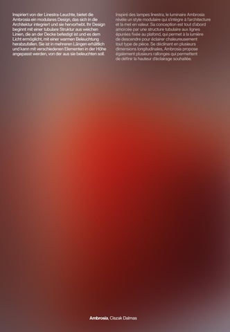 Marset News 2021 Ambrosia × Ihana 德文 / 法文 第 8 页