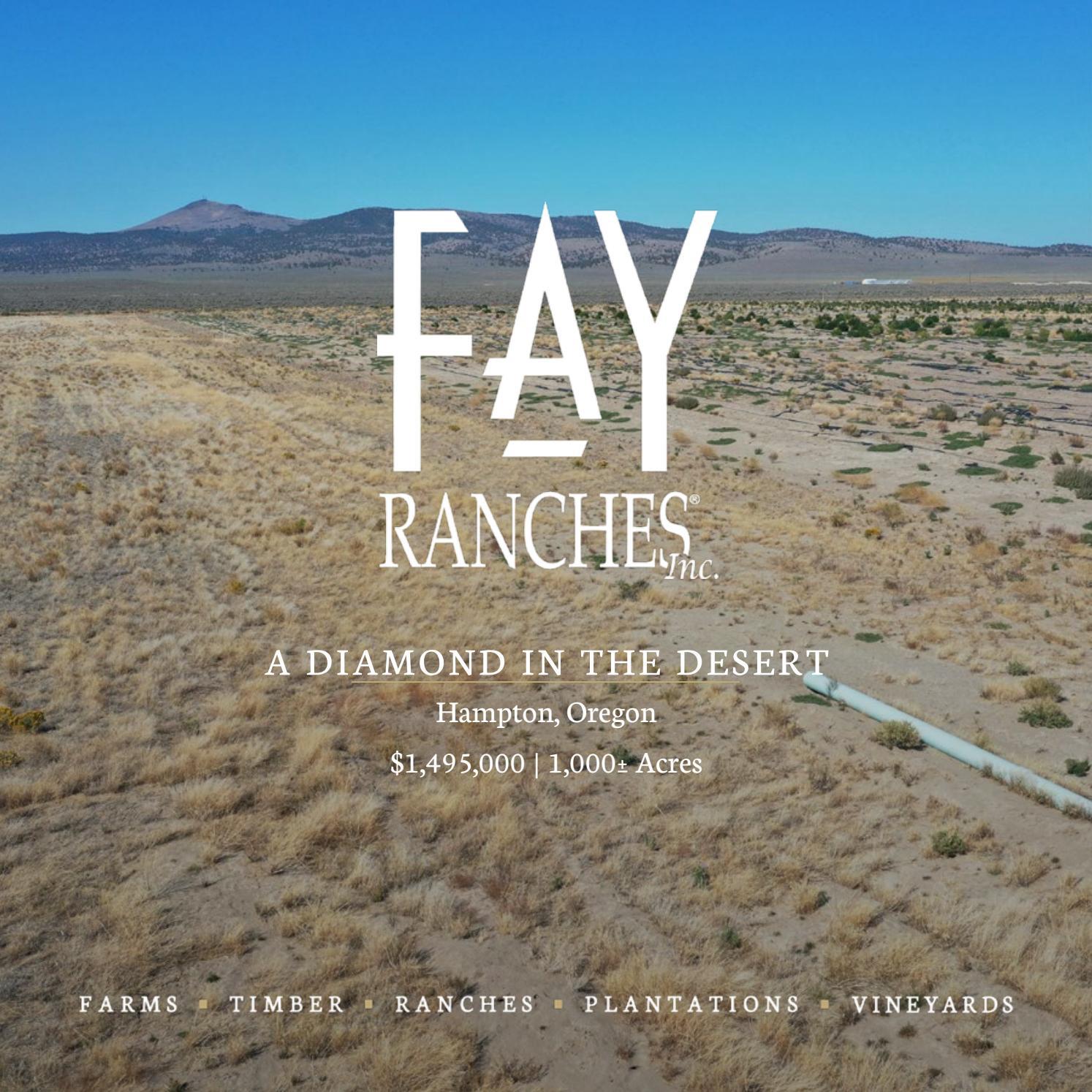 SOLD A Diamond in the Desert Fay Ranches by Fay Ranches Issuu