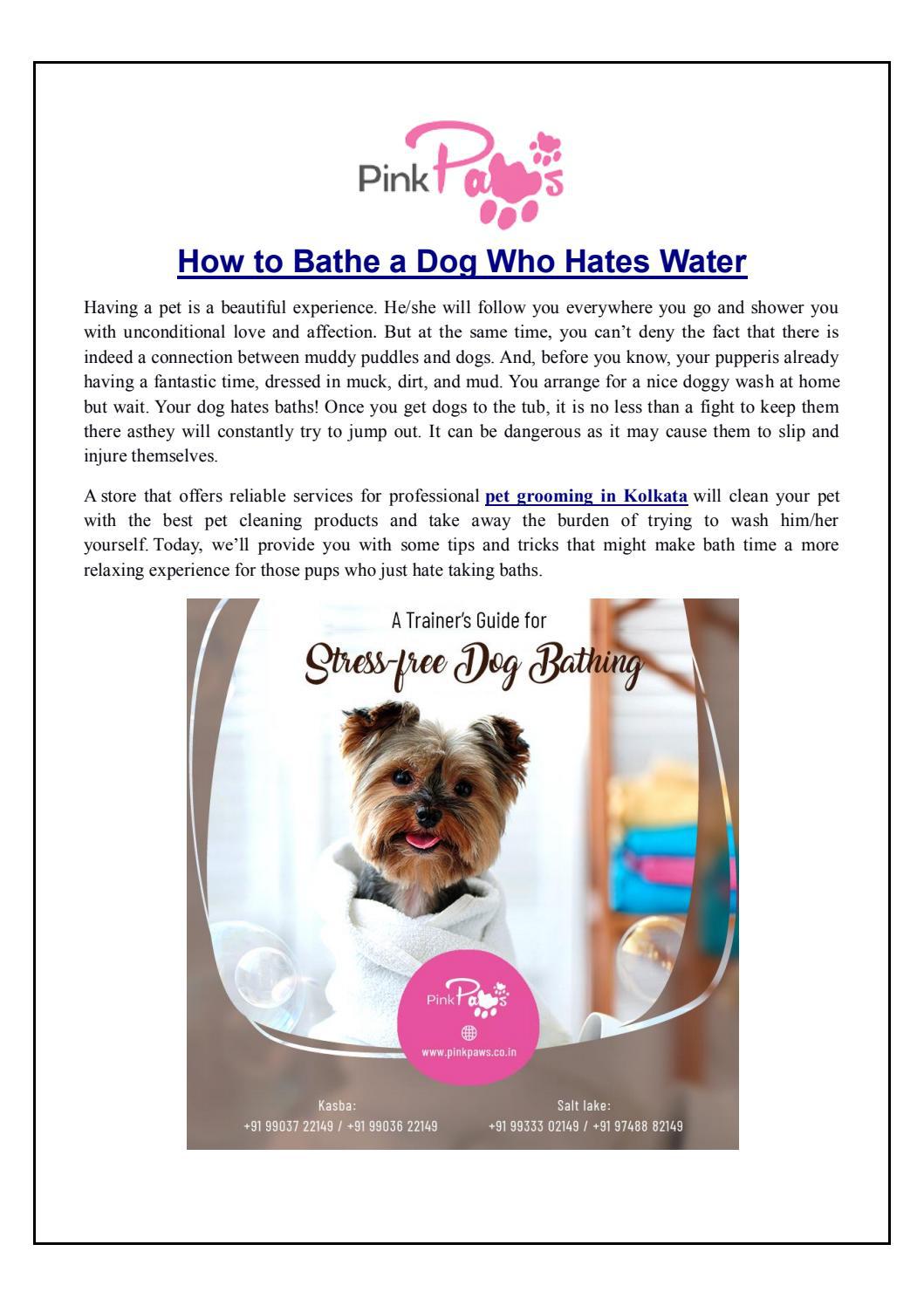 How to Bathe a Dog Who Hates Water by pink_paws Issuu