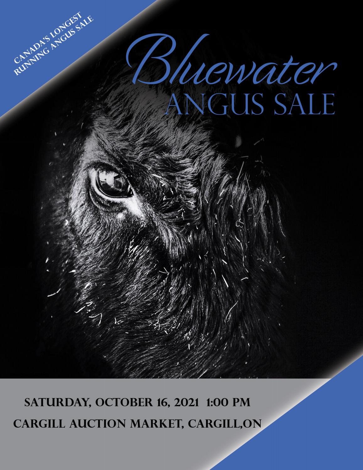 Bluewater Angus Sale by UniqueDesigns Issuu