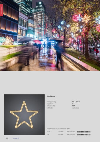 Sonepar Suisse 灯饰目录 · | Weihnachtsbeleuchtung 2021 第 12 页