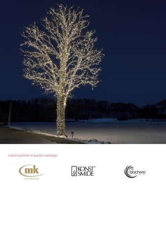 Sonepar Suisse 灯饰目录 · | Illuminazione natalizia 2021 第 2 页