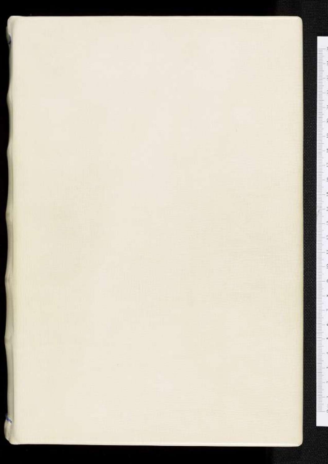 Realidad Bestial O La Naturaleza Del Espacio Intermedio By Gutierrez Vazquez Lucia Issuu