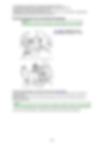 Page 258