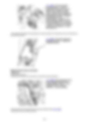 Page 295