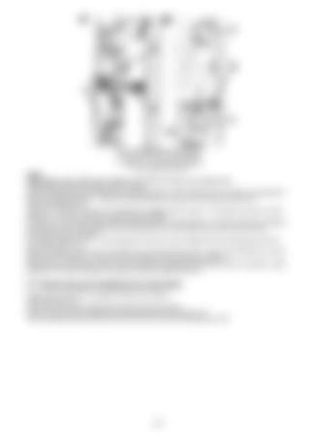 Page 345