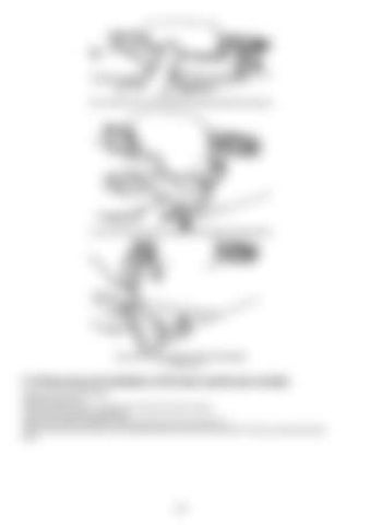 Page 348