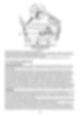 Page 350