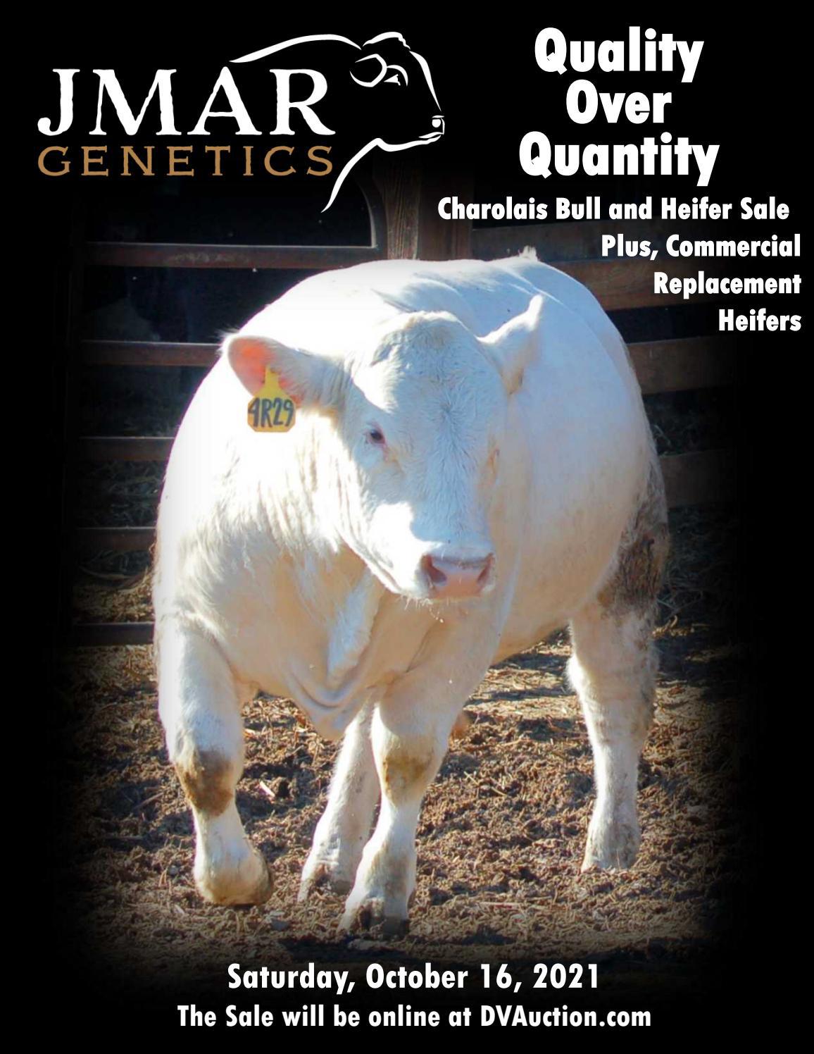 2021 JMAR Sale Catalog by Ranch House Designs Issuu