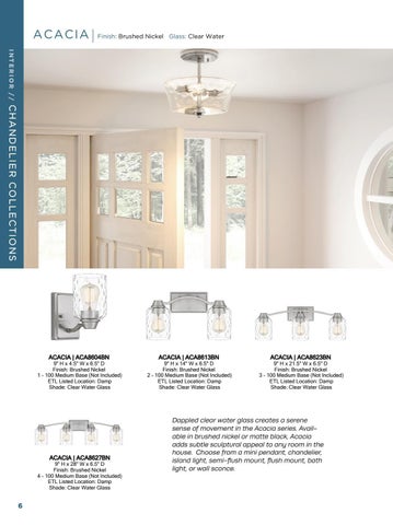 Quoizel BluePrint Supplement 2021 第 6 页
