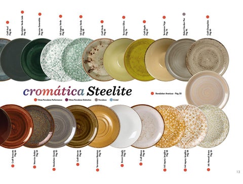 CATALOGO STEELITE ESPANA 2021 第 13 页