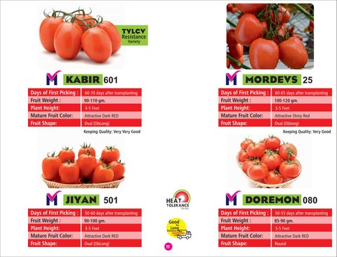 MORDEVS SEEDS - A Quality Seeds from DVS Crop Science Pvt. Ltd. 第 11 页
