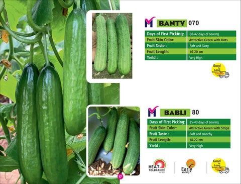 MORDEVS SEEDS - A Quality Seeds from DVS Crop Science Pvt. Ltd. 第 17 页