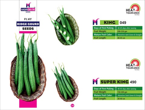 MORDEVS SEEDS - A Quality Seeds from DVS Crop Science Pvt. Ltd. 第 24 页