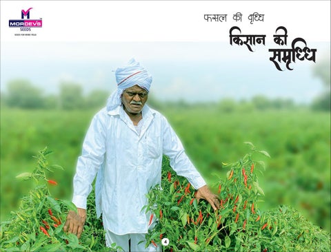 MORDEVS SEEDS - A Quality Seeds from DVS Crop Science Pvt. Ltd. 第 4 页