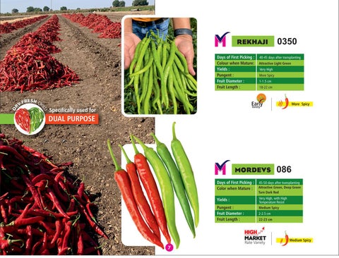 MORDEVS SEEDS - A Quality Seeds from DVS Crop Science Pvt. Ltd. 第 7 页