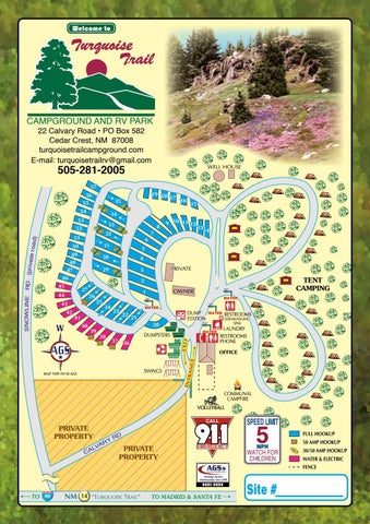 next dinosaur backpack