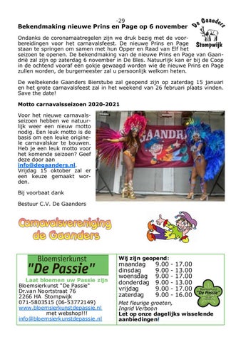 Page 29