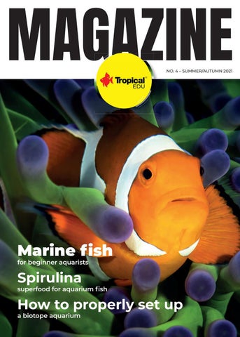 Cover of "TropicalEDU Magazyn nr4 - Lato/Jesien - ENG"