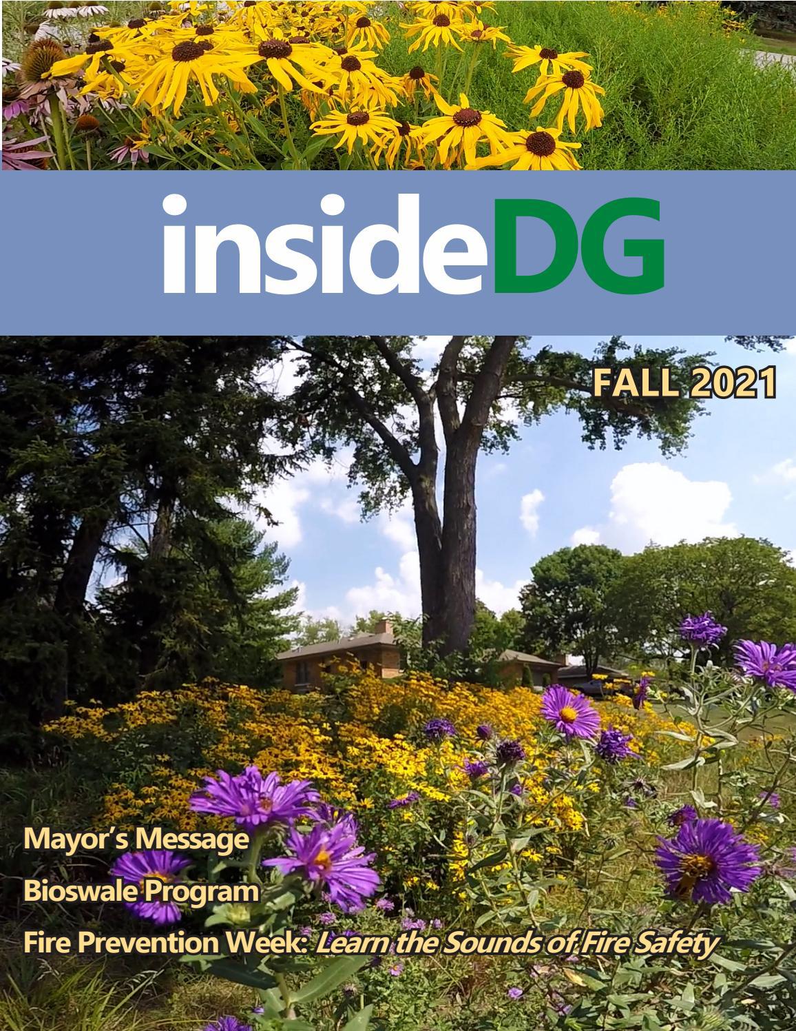 inside DG Fall 2021 by Village of Downers Grove Issuu