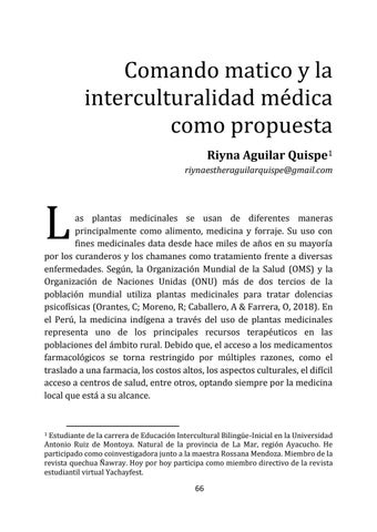 Page 66