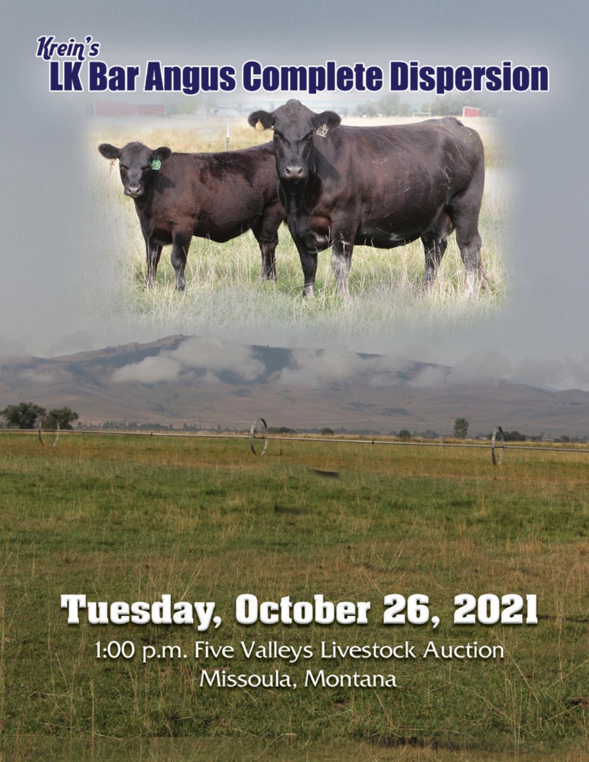 LK Bar Angus Dispersal Sale by RPI Promotions Issuu