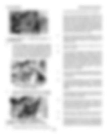 Page 206