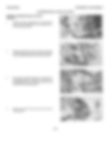 Page 345