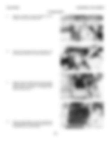 Page 391