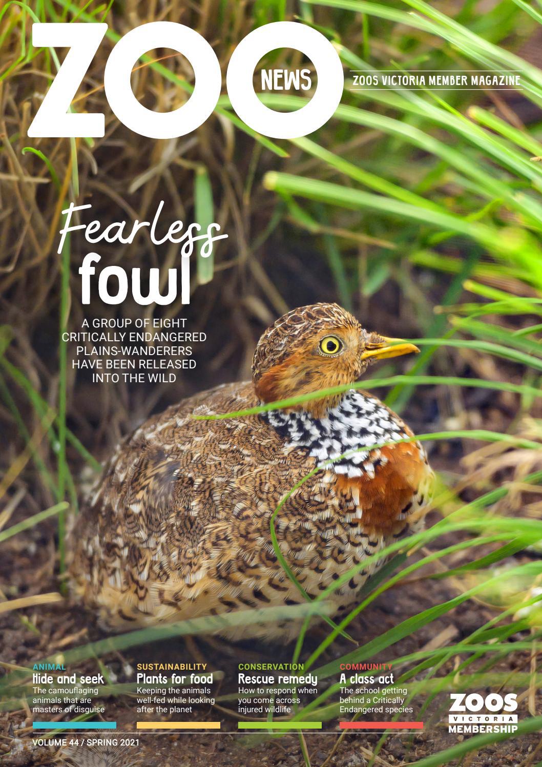 Zoo News spring 2021 by zoosvic Issuu