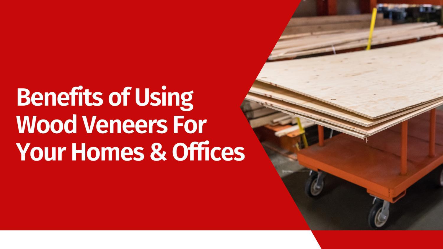 Benefits of Using Wood Veneers For Your Homes & Offices by Duroply Industries Limited Issuu