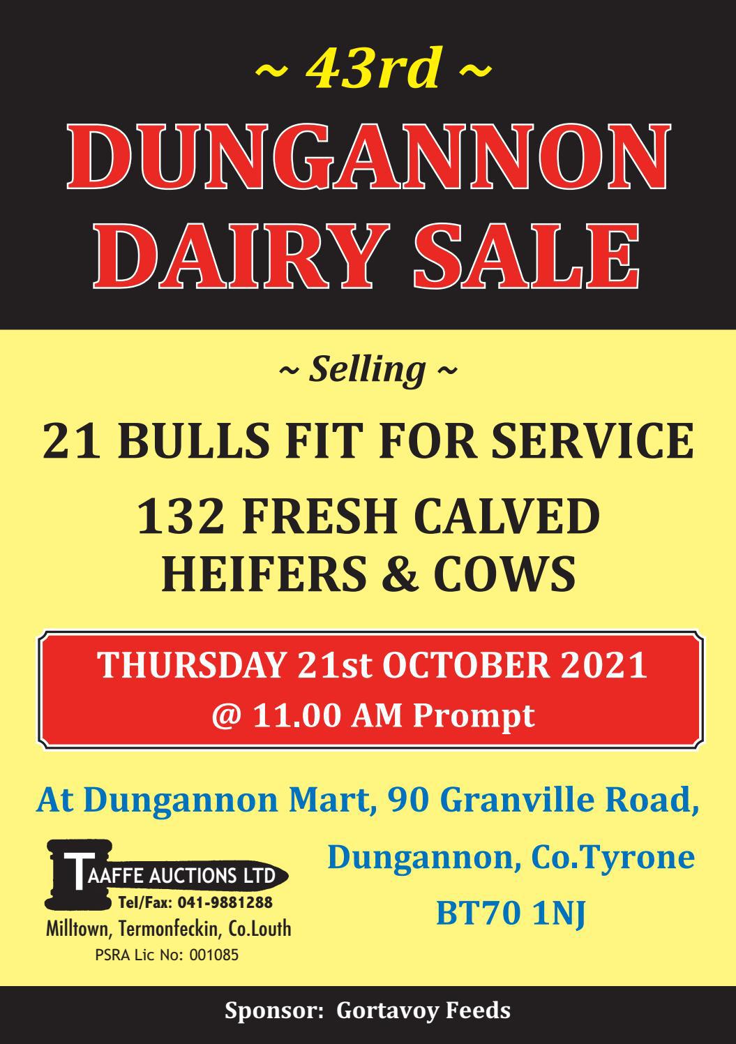 THE 43RD DUNGANNON DAIRY SALE by TAAFFE AUCTIONS LTD Issuu