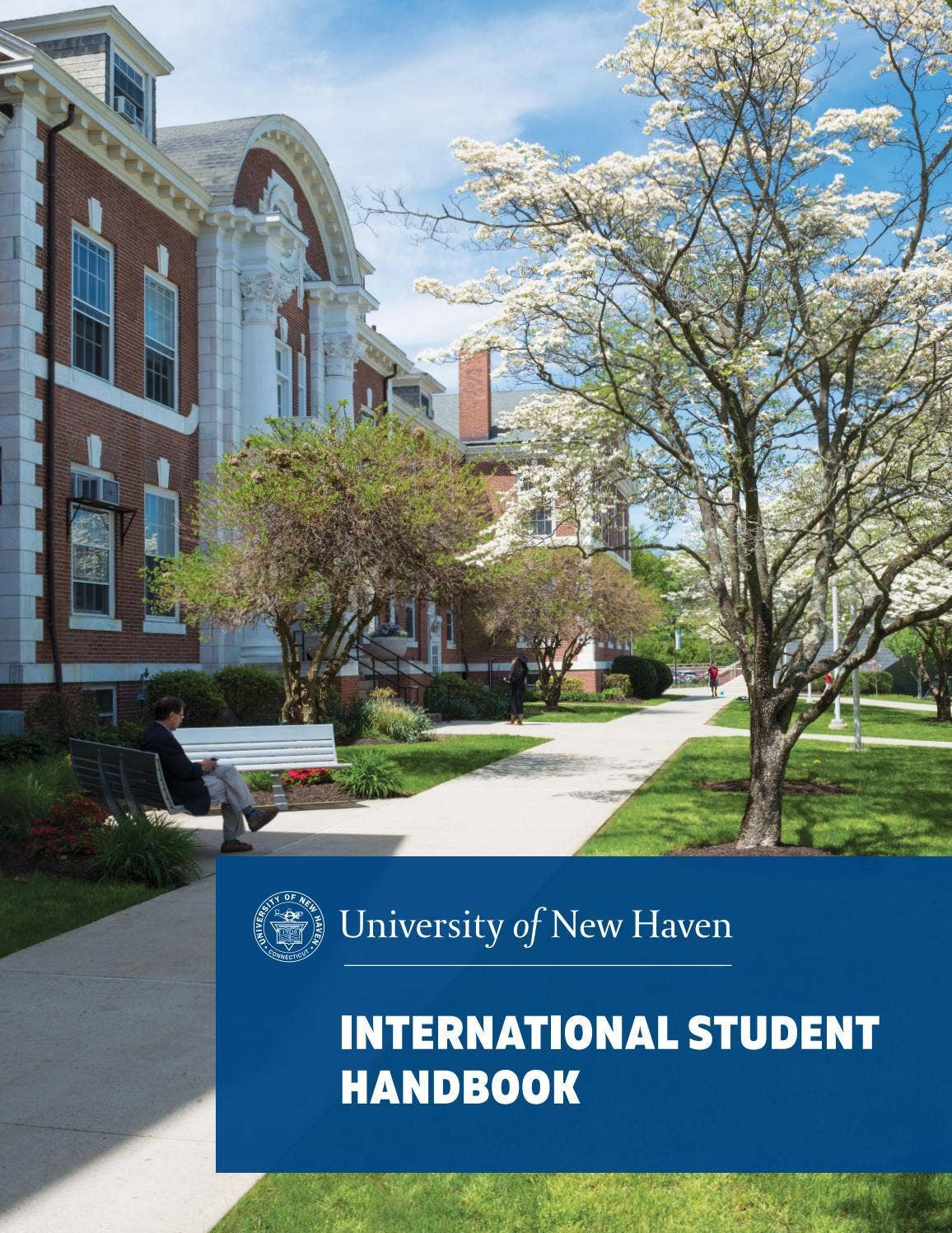 International Student Handbook by University of New Haven - Issuu