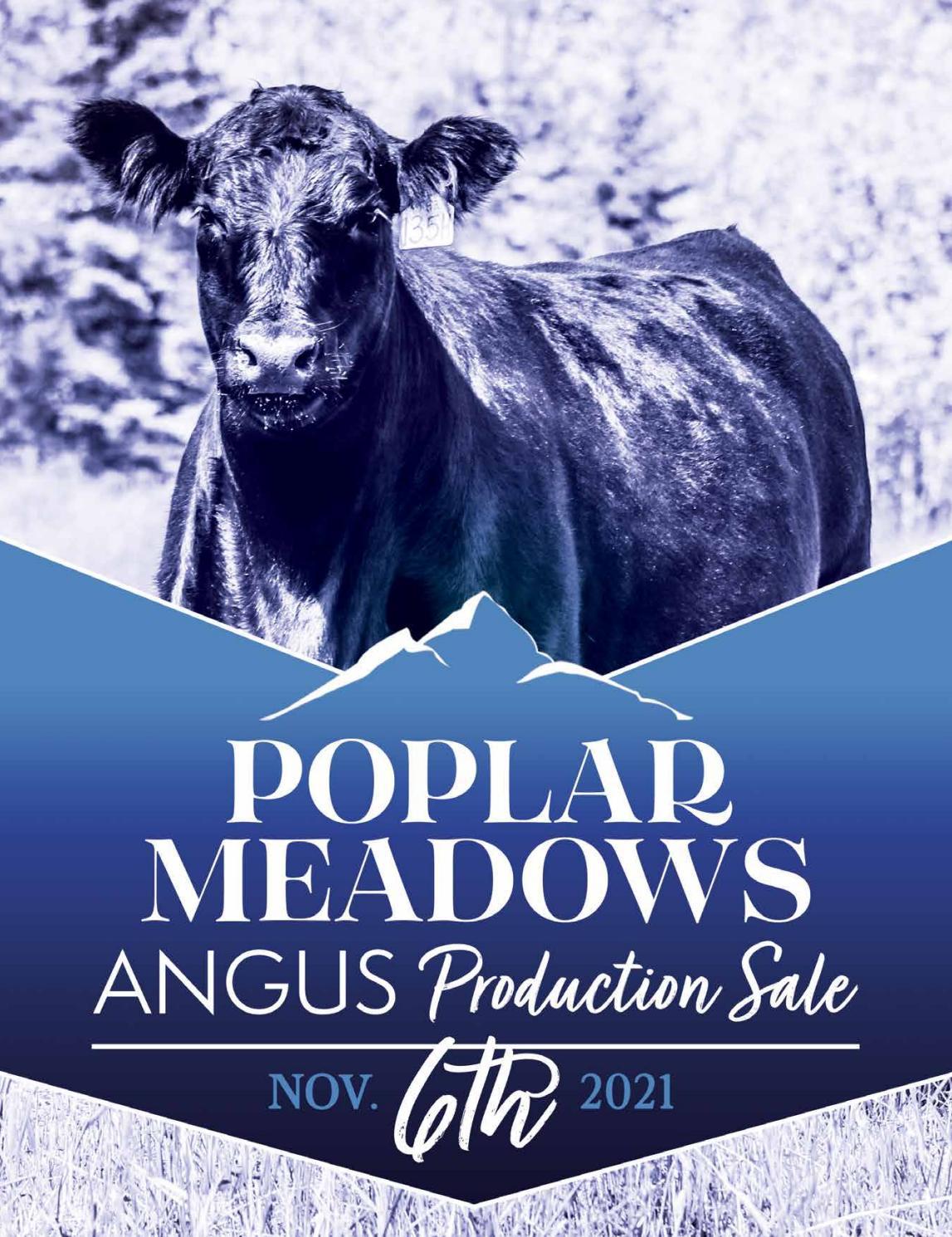 Poplar Meadows Angus Production Sale by Bohrson Marketing Services Ltd