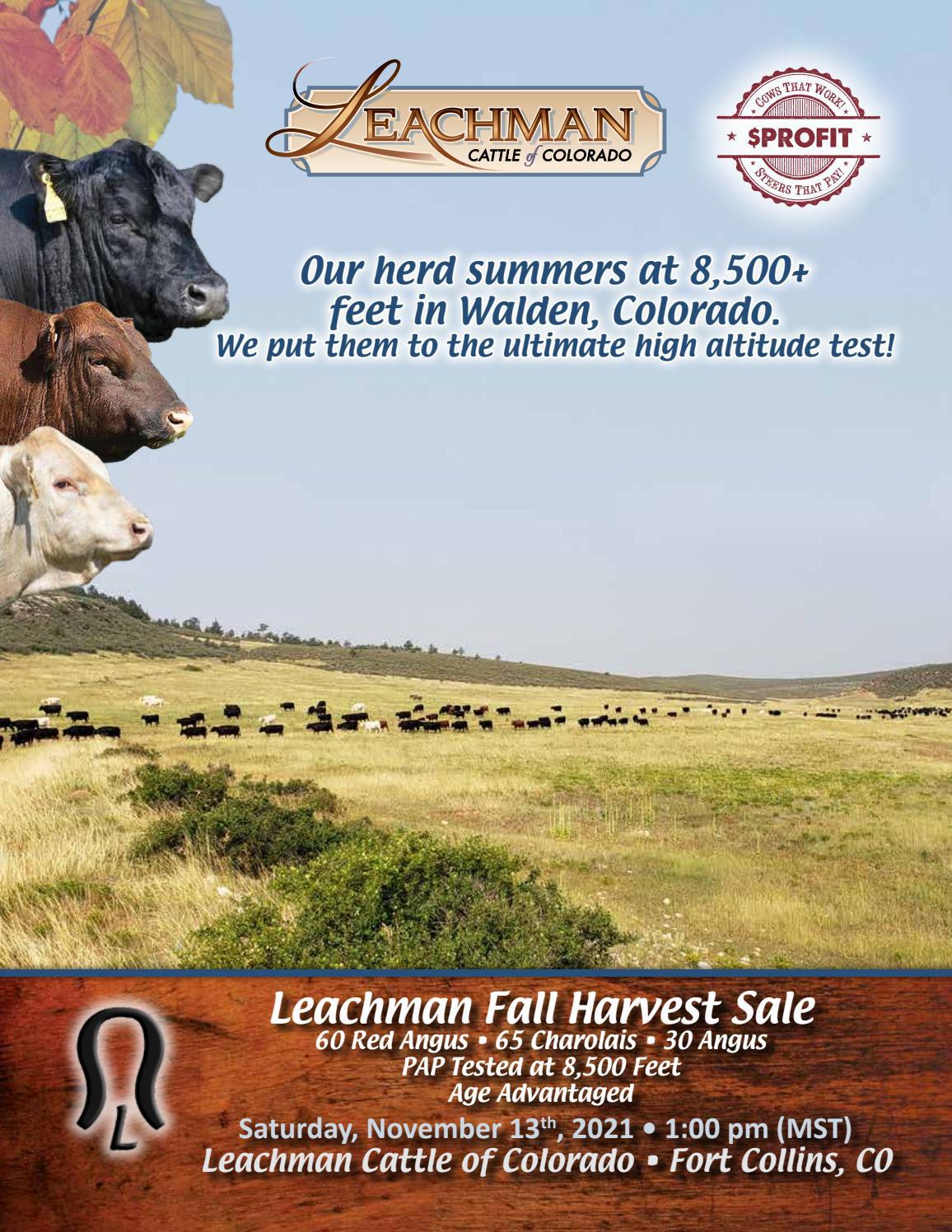 2021 Fall Harvest Sale Catalog by Ranch House Designs Issuu