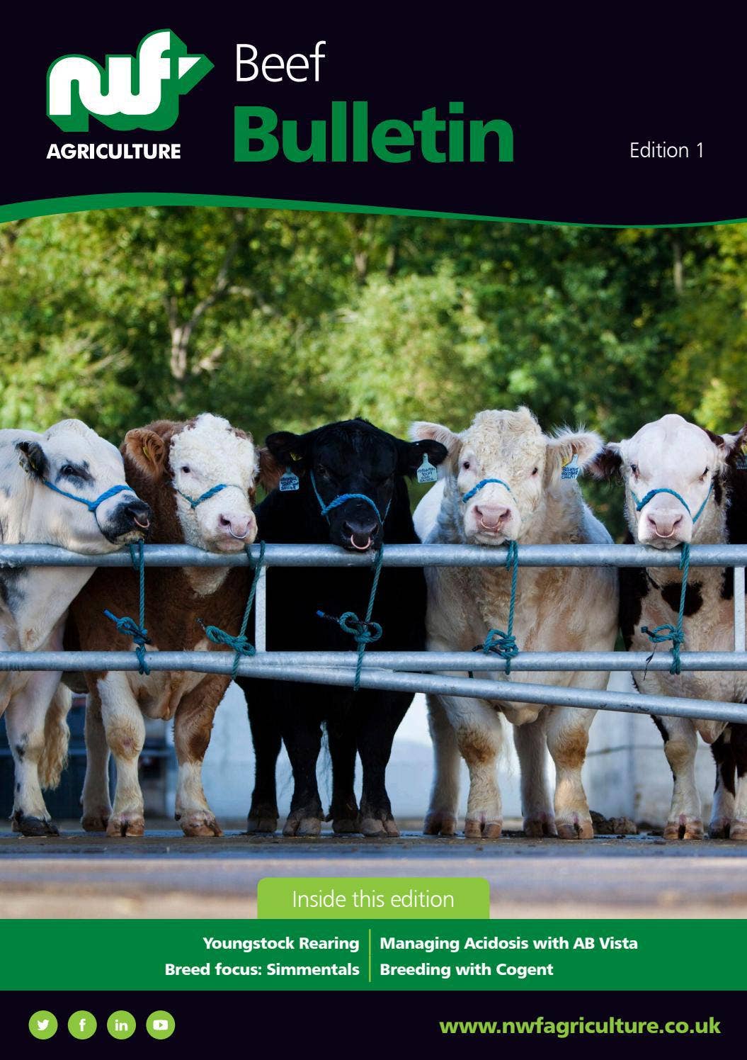 NWF Agriculture Beef Bulletin Edition 1 by NWFAgriculture - Issuu
