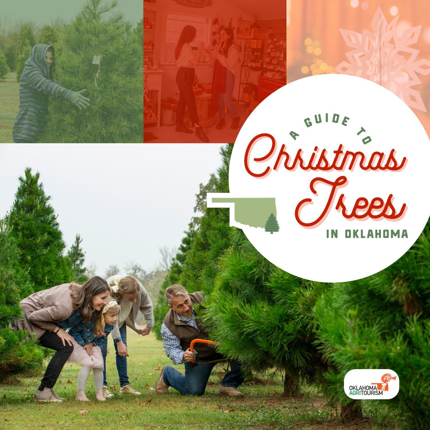 Christmas Tree Farm Guide by Oklahoma Tourism & Recreation Department