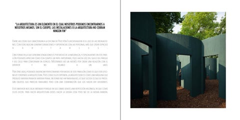 Cuerpo y Movimiento | Análisis convencional 第 7 页
